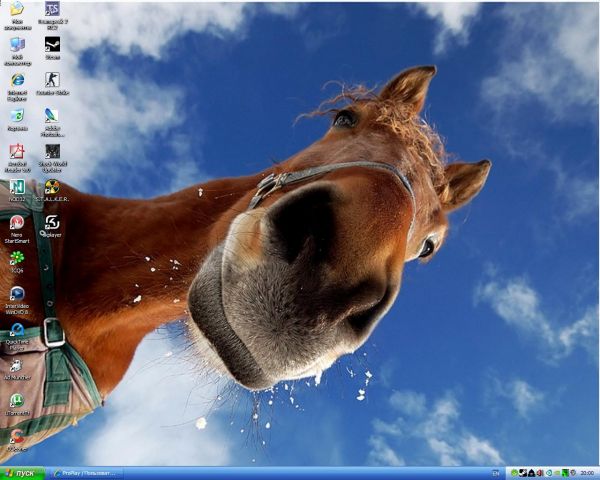 ������� ����